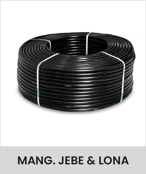 Descripción de la imagen